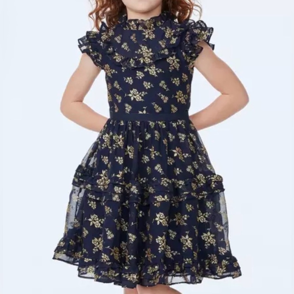 Janie and Jack Dark Marine Floral The Sparkle Holiday Dress Navy Gold Glitter